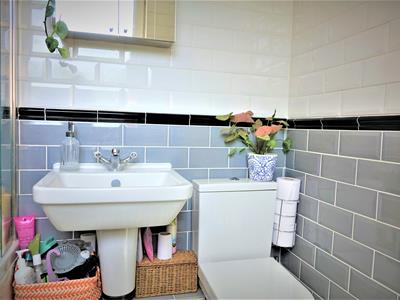 Picture 15